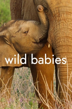 Watch Free Wild Babies Movies HD Online 123Movies