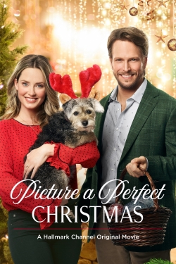 Watch Free Picture a Perfect Christmas Movies HD Online 123Movies