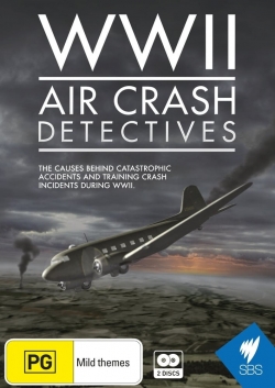 Watch Free WWII Air Crash Detectives Movies HD Online 123Movies