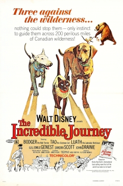 Watch Free The Incredible Journey Movies HD Online 123Movies