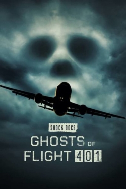 Watch Free Ghosts of Flight 401 Movies HD Online 123Movies