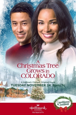 Watch Free A Christmas Tree Grows in Colorado Movies HD Online 123Movies