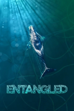 Watch Free Entangled: The Race to Save Right Whales from Extinction Movies HD Online 123Movies