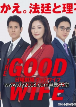 Watch Free The Good Wife Movies HD Online 123Movies