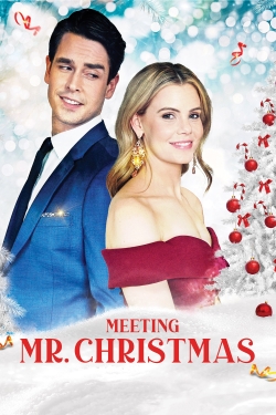 Watch Free Meeting Mr. Christmas Movies HD Online 123Movies