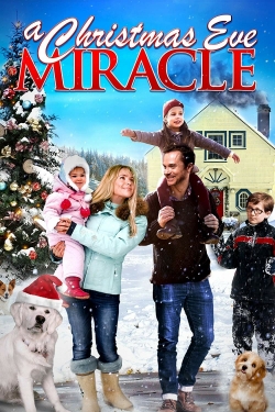 Watch Free A Christmas Eve Miracle Movies HD Online 123Movies