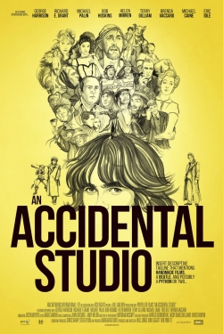 Watch Free An Accidental Studio Movies HD Online 123Movies