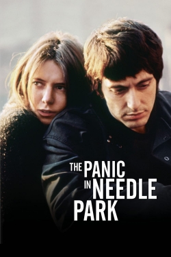 Watch Free The Panic in Needle Park Movies HD Online 123Movies