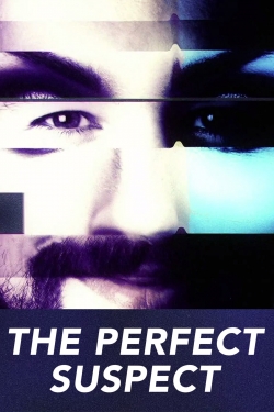 Watch Free The Perfect Suspect Movies HD Online 123Movies