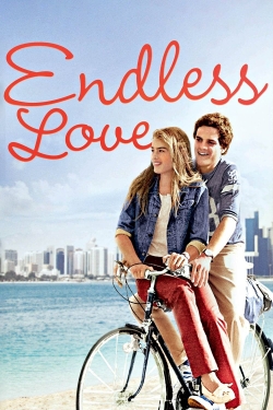 Watch Free Endless Love Movies HD Online 123Movies