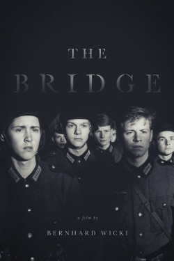 Watch Free The Bridge Movies HD Online 123Movies