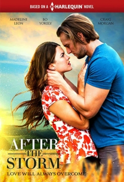 Watch Free After the Storm Movies HD Online 123Movies