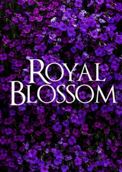 Watch Free Royal Blossom Movies HD Online 123Movies