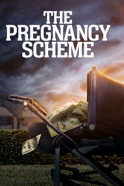 Watch Free The Pregnancy Scheme Movies HD Online 123Movies