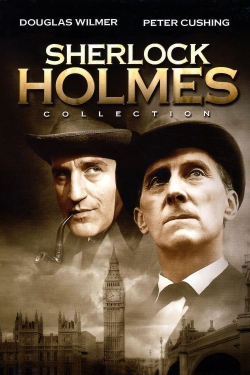 Watch Free Sherlock Holmes Movies HD Online 123Movies