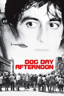 Watch Free Dog Day Afternoon Movies HD Online 123Movies