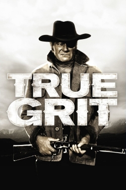 Watch Free True Grit Movies HD Online 123Movies