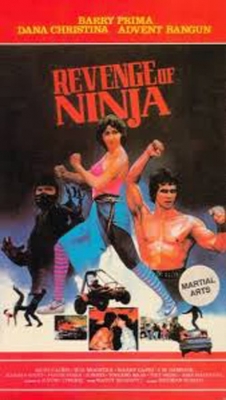 Watch Free Revenge of the Ninja Movies HD Online 123Movies