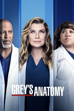 Watch Free Grey's Anatomy Movies HD Online 123Movies