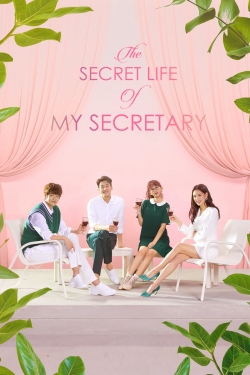 Watch Free The Secret Life of My Secretary Movies HD Online 123Movies