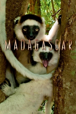 Watch Free Madagascar Movies HD Online 123Movies