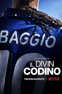 Watch Free Baggio: The Divine Ponytail Movies HD Online 123Movies