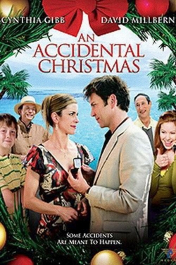 Watch Free An Accidental Christmas Movies HD Online 123Movies