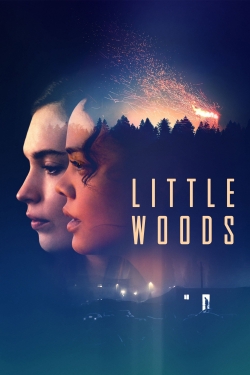 Watch Free Little Woods Movies HD Online 123Movies