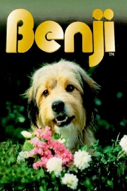 Watch Free Benji Movies HD Online 123Movies