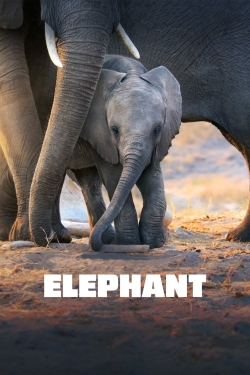 Watch Free Elephant Movies HD Online 123Movies