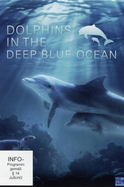 Watch Free Dolphins in the Deep Blue Ocean Movies HD Online 123Movies