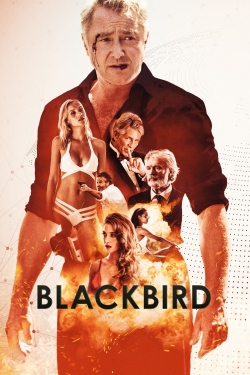 Watch Free Blackbird Movies HD Online 123Movies