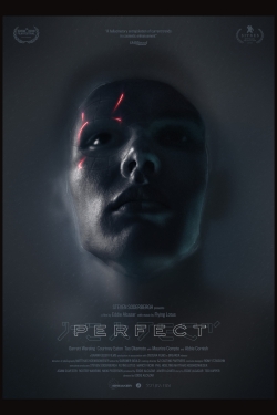 Watch Free Perfect Movies HD Online 123Movies