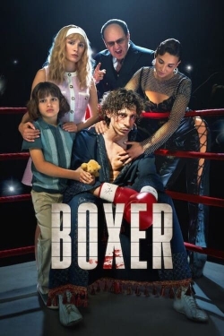 Watch Free Boxer Movies HD Online 123Movies