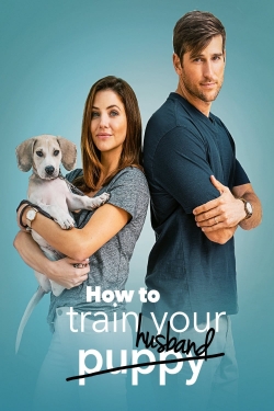 Watch Free How to Train Your Husband Movies HD Online 123Movies