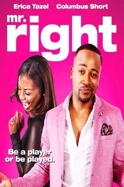 Watch Free Mr. Right Movies HD Online 123Movies