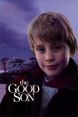 Watch Free The Good Son Movies HD Online 123Movies