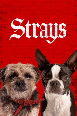 Watch Free Strays Movies HD Online 123Movies