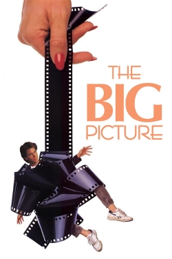 Watch Free The Big Picture Movies HD Online 123Movies