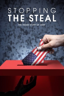 Watch Free Stopping the Steal Movies HD Online 123Movies