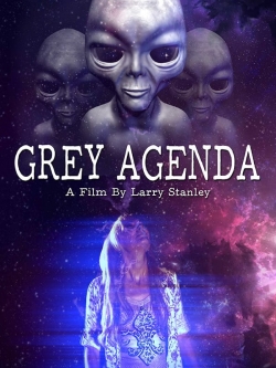 Watch Free Grey Agenda Movies HD Online 123Movies