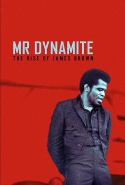 Watch Free Mr. Dynamite - The Rise of James Brown Movies HD Online 123Movies