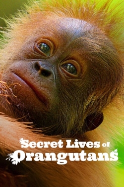 Watch Free Secret Lives of Orangutans Movies HD Online 123Movies