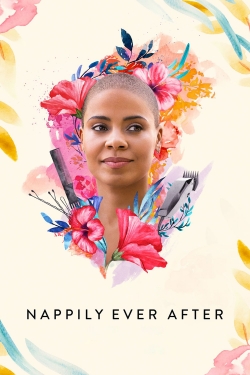 Watch Free Nappily Ever After Movies HD Online 123Movies