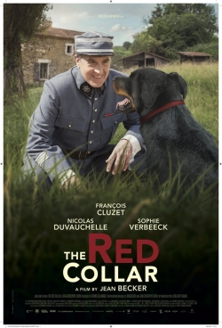 Watch Free The Red Collar Movies HD Online 123Movies