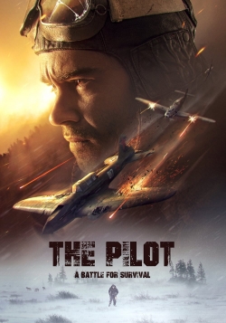 Watch Free The Pilot. A Battle for Survival Movies HD Online 123Movies