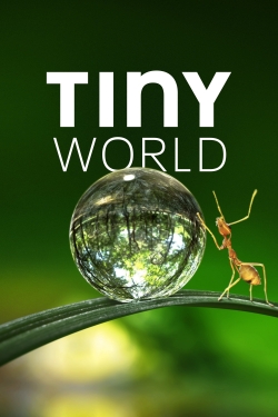 Watch Free Tiny World Movies HD Online 123Movies