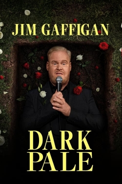 Watch Free Jim Gaffigan: Dark Pale Movies HD Online 123Movies