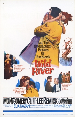 Watch Free Wild River Movies HD Online 123Movies