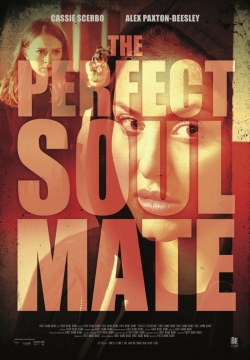 Watch Free The Perfect Soulmate Movies HD Online 123Movies